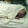 Introducing Abigail Johanna